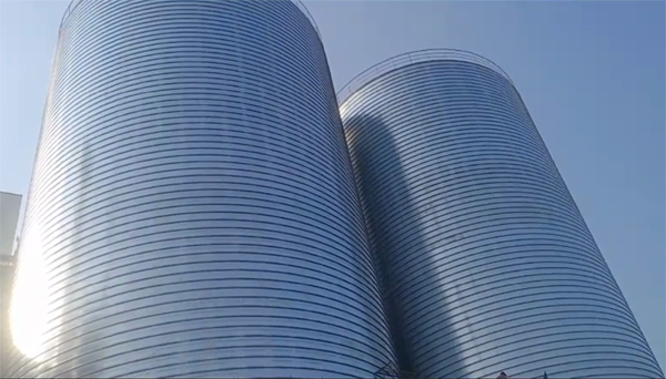 合阳2座混凝土高架卷板仓